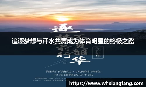 完美体育在线入口官网