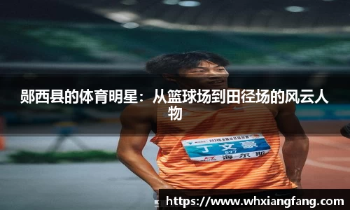 完美体育