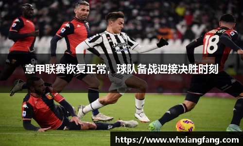 完美体育官网