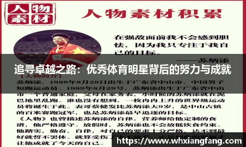 完美体育在线入口官网