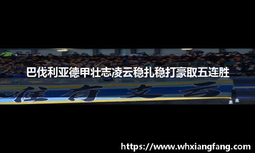 完美体育在线入口官网