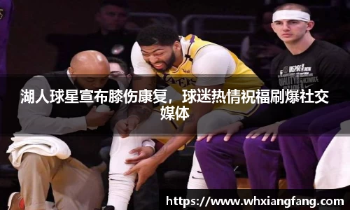 完美体育在线入口官网
