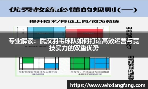 完美体育