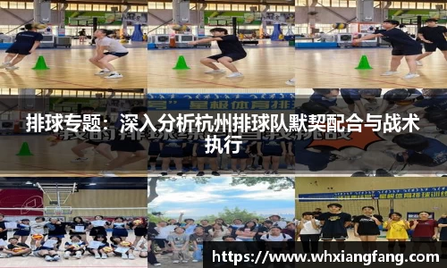 完美体育在线入口官网