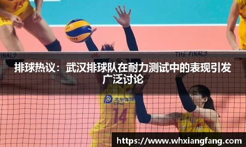 完美体育在线入口官网