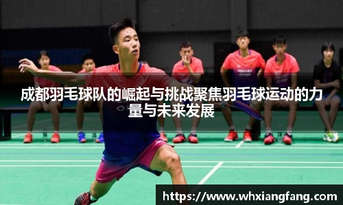 成都羽毛球队的崛起与挑战聚焦羽毛球运动的力量与未来发展