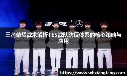 王者荣耀战术解析TES战队防反体系的核心策略与应用