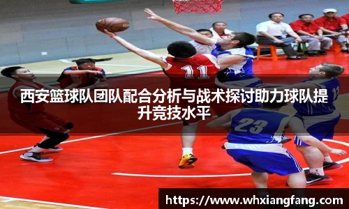 完美体育在线入口官网