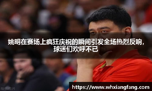 完美体育app下载安装