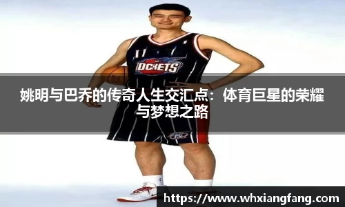 完美体育在线入口官网