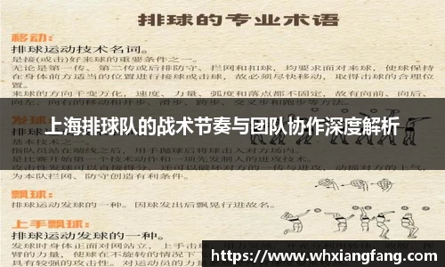 完美体育app下载安装