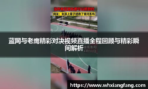 蓝网与老鹰精彩对决视频直播全程回顾与精彩瞬间解析