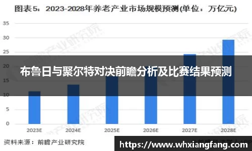 布鲁日与聚尔特对决前瞻分析及比赛结果预测