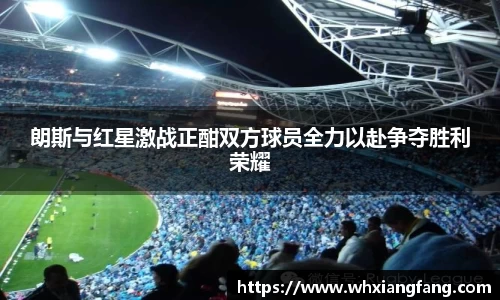 完美体育app下载安装