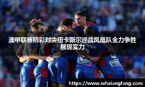完美体育在线入口官网