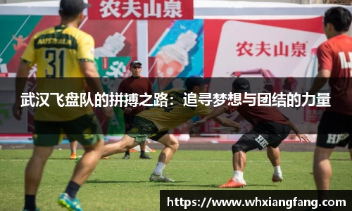 完美体育官网
