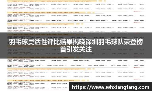 羽毛球灵活性评比结果揭晓深圳羽毛球队荣登榜首引发关注